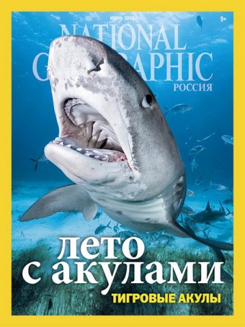 Тигровые акулы в National Geographic