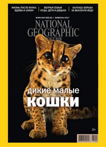 Дикие малые кошки National Geographic