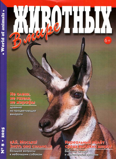 В мире животных