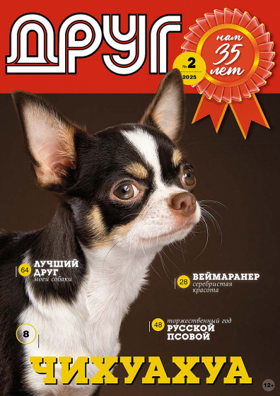 Друг собаки