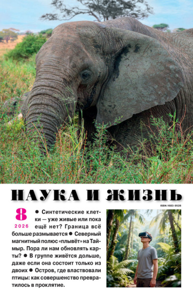 Наука и жизнь