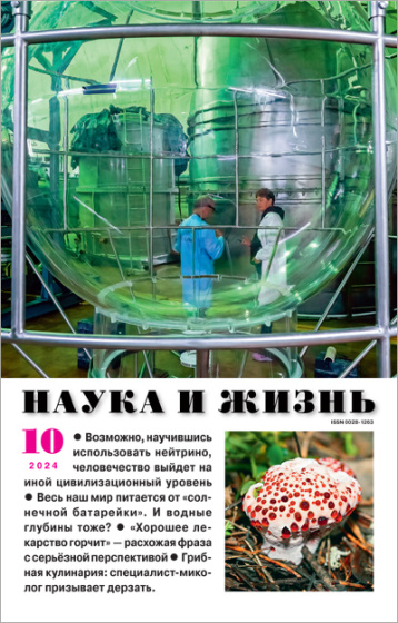 «Наука и жизнь» в октябре