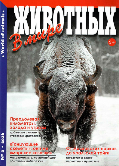 В мире животных