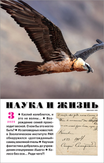 «Наука и жизнь» в марте