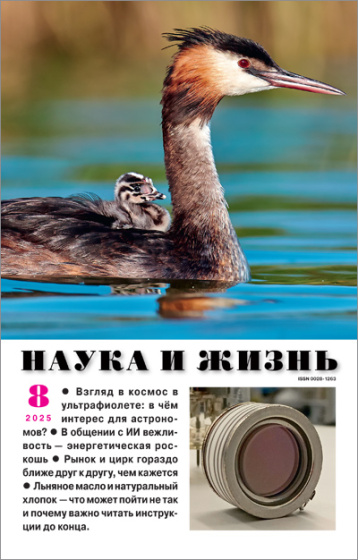 «Наука и жизнь» в августе 